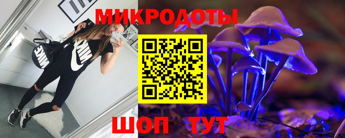 Междуреченск  Псилоцибиновые грибы прущие грибы  Вход с VPN  Галлюциногенные грибы Psilocybine cubensis 
