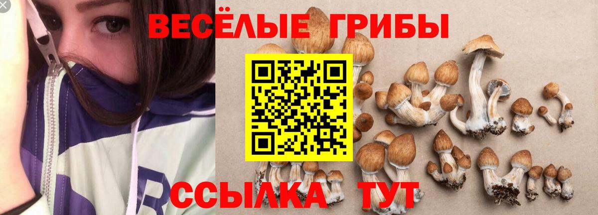 Галлюциногенные грибы Magic Shrooms Междуреченск